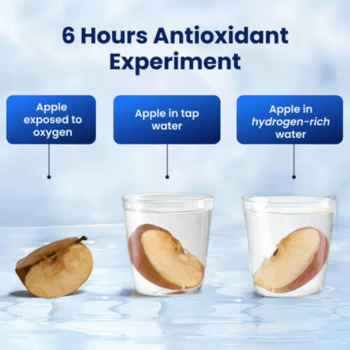 Hydrohealth Hydrogen Bottle (Official Retailer) [year]